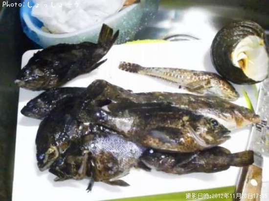 �������������ʥᡢ������