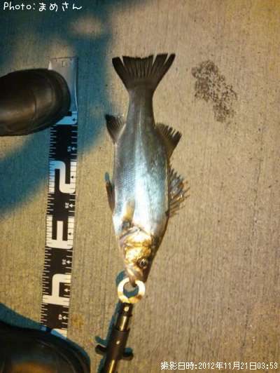 �����Х�