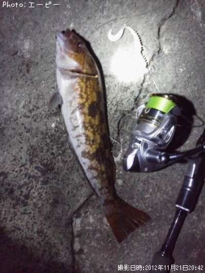 �����ʥ�