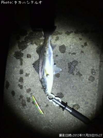 �����Х�