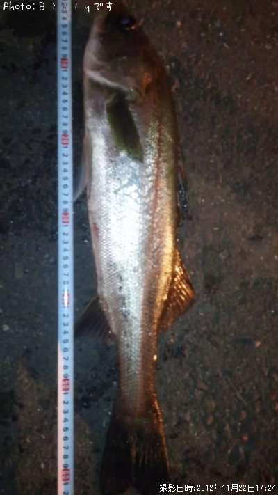 �����Х�