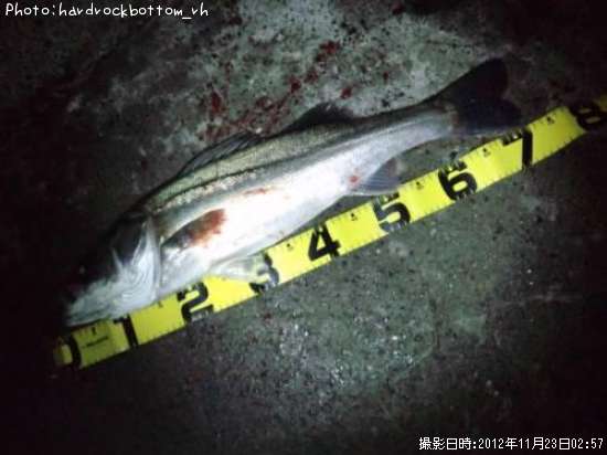 �����Х�