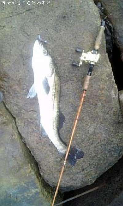 �����Х�