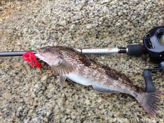 �����ʥ�