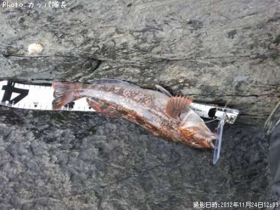 �����ʥ�