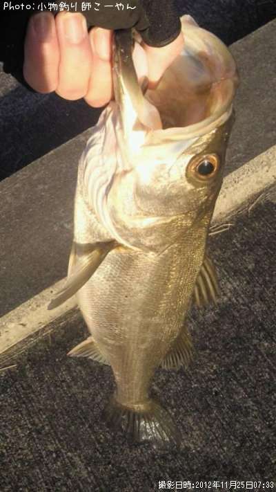 �����Х�