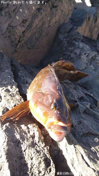 �����ʥ�