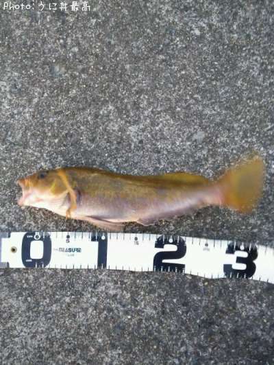 �����ʥ�