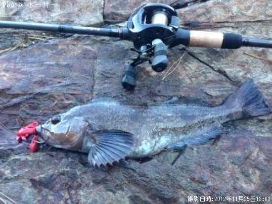 �����ʥ�