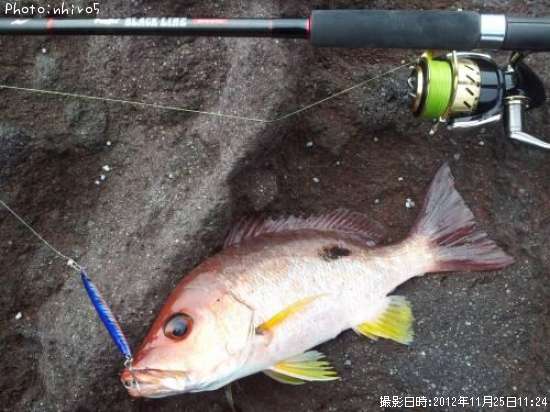 �����ۥ��ե�����¾