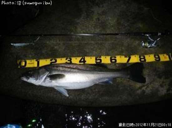 �����Х�