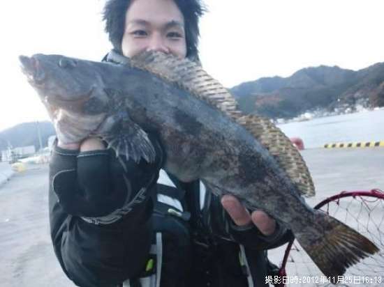 �����ʥ�