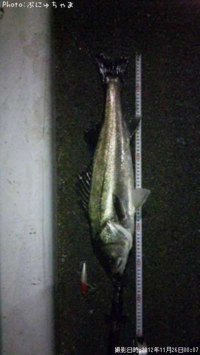 �����Х�