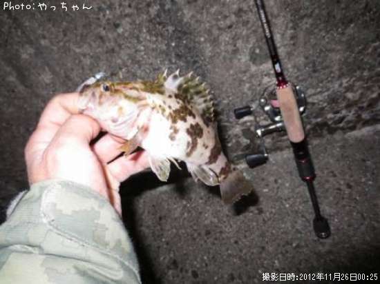 �����Υ���Х�