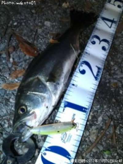 �����Х�