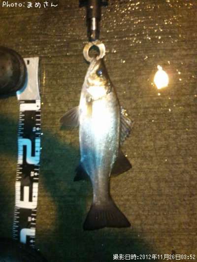 �����Х�