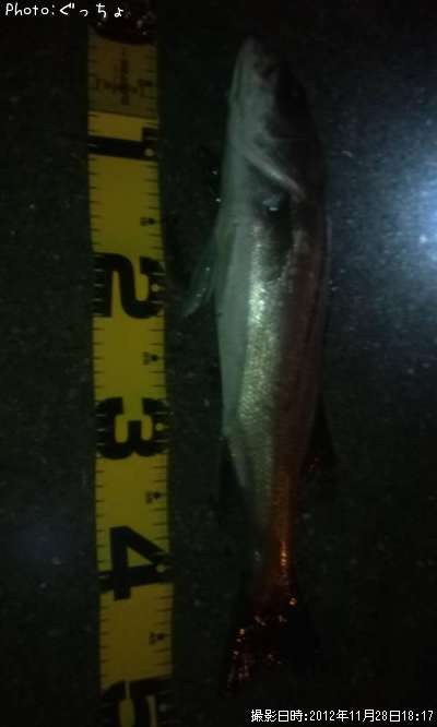 �����Х�