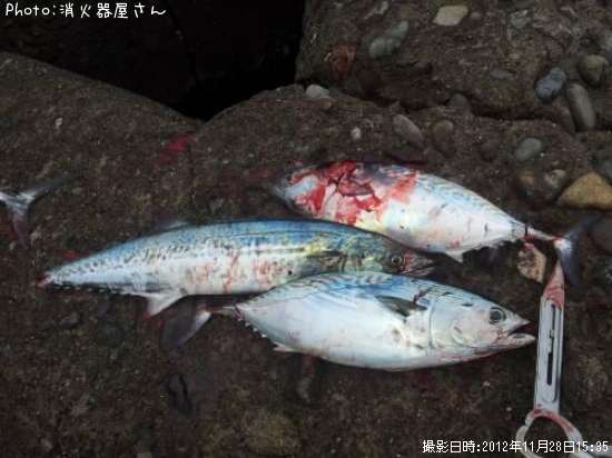 ���ޥ��ĥ�