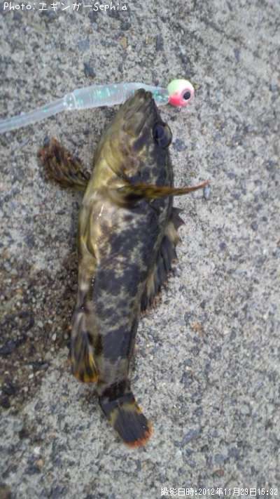 �����Υ���Х�