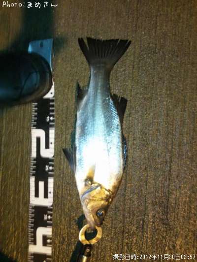 �����Х�