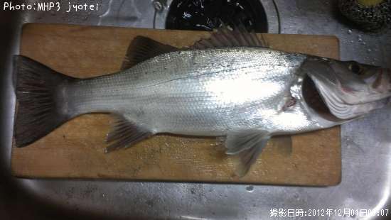 �ҥ饹����