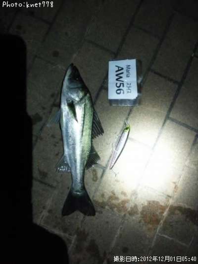 �����Х�