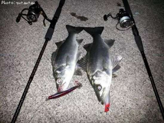 �ҥ饻����