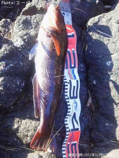 �����ʥ�