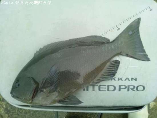 �����᥸��