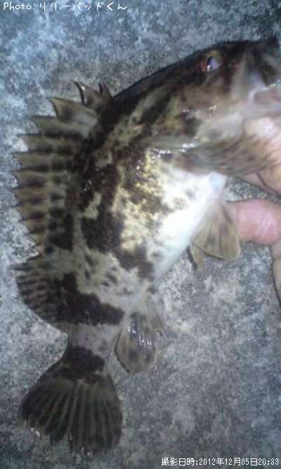 �����Υ�²��