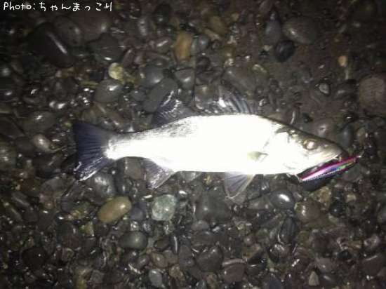 �����Х�