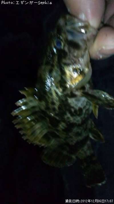 �����Υ���Х�