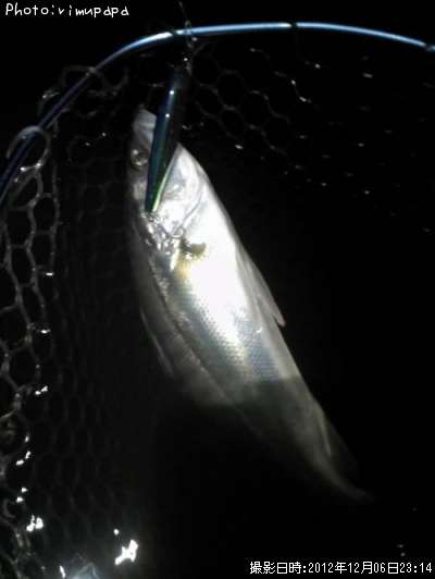 �����Х�