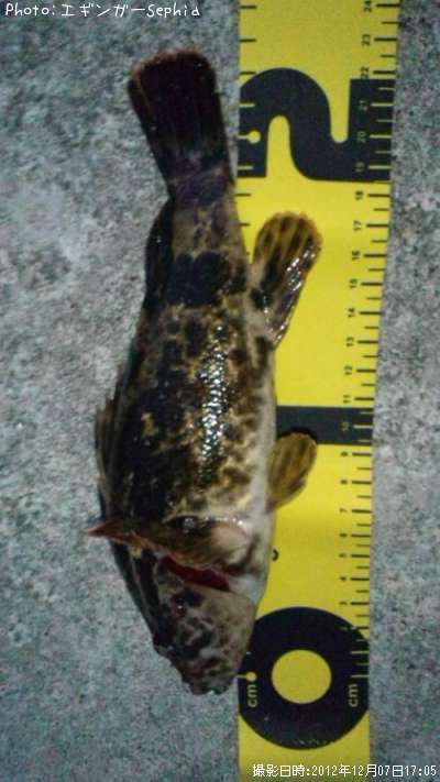 �����Υ���Х�