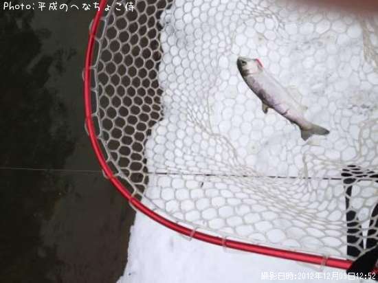 �����ۥ������