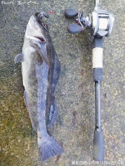 �����ʥ�