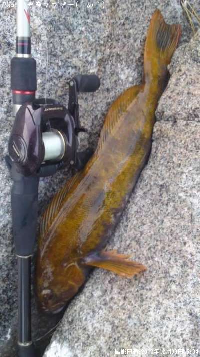 �����ʥ�