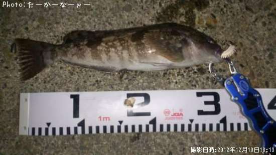 �����ʥ�