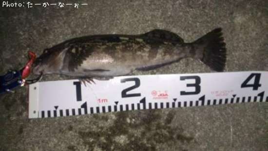 �����ʥ�