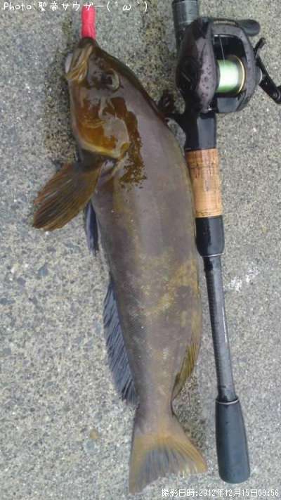 �����ʥ�