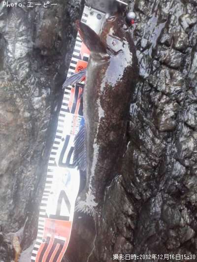 �����ʥ�