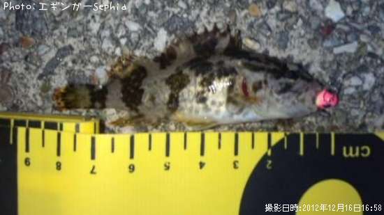 �����Υ���Х�