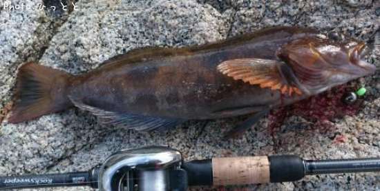 �����ʥ�