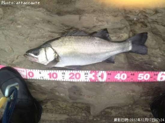 �ҥ饹����