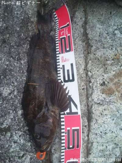 �����ʥ�