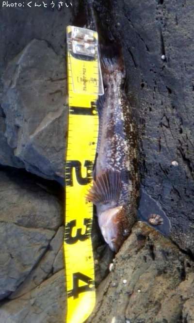 �����ʥ�