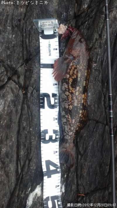 �����ʥ�