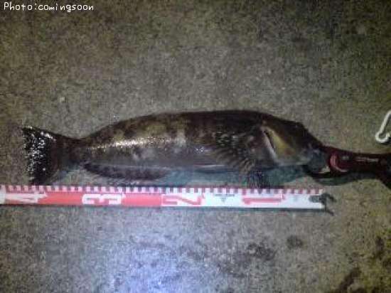 �����ʥ�