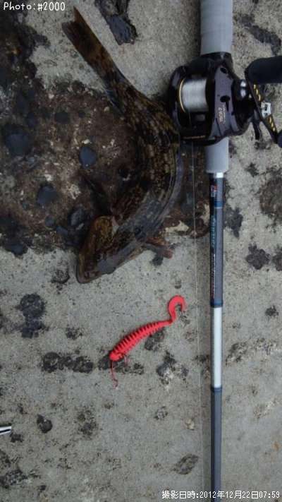 �����ʥ�