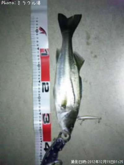 �����Х�